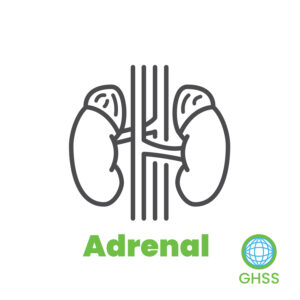Adrenal Panel