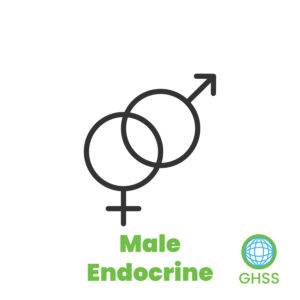 Male Endocrine Panel